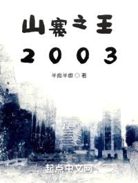 山寨之王2003