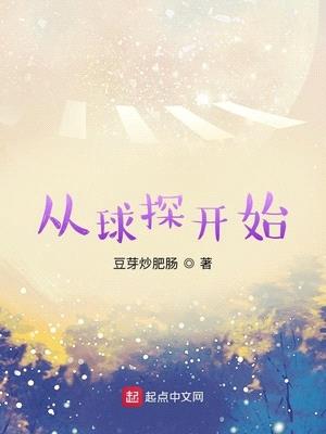 从球探开始小说起点中文网