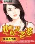 我的校花老婆